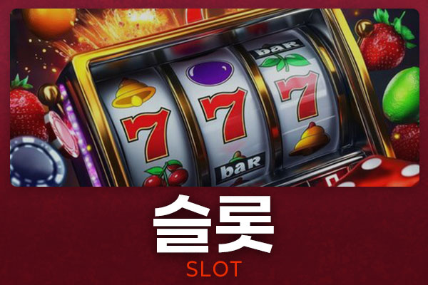 슬롯